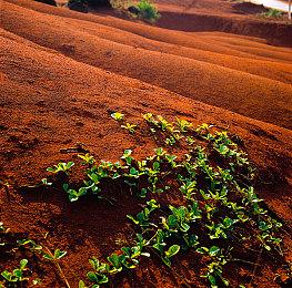 TGA 2021将于12月9日在微软剧院举行